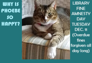 Phoebe cat happy - library fine amnesty day December 11!
