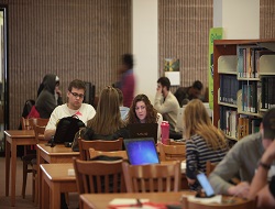 image from CCSU of students working in the library